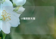 CF里的好大哥