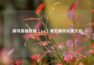 探寻英雄联盟（LoL）里的独特长英文名