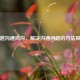 跨越沟通鸿沟，解决沟通问题的 *** 探究