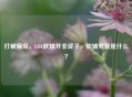 打破偏见，LOL软辅并非混子，软辅究竟是什么？