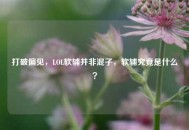 打破偏见，LOL软辅并非混子，软辅究竟是什么？