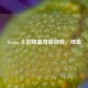 Steam 上的绿血奇旅游戏，绿血