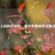 Steam上的阿尔伯特，数字世界奇妙之旅及相关Wiki