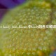 A Lonely Souls Journey中lonely的含义解读