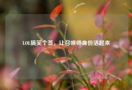 LOL搞笑个签，让召唤师身份活起来