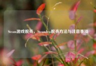 Steam游戏脱壳，Steamless脱壳方法与注意事项
