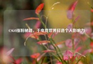 CSGO涨粉秘籍，于电竞世界打造个人影响力