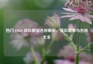 热门 CSGO 战队前缀名称解析，背后故事与名称大全