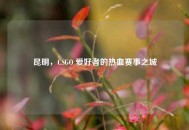 昆明，CSGO 爱好者的热血赛事之城