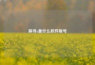 探寻x是什么软件账号