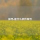 探寻x是什么软件账号