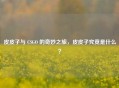 皮皮子与 CSGO 的奇妙之旅，皮皮子究竟是什么？