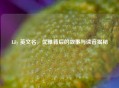 Lily 英文名，优雅背后的故事与读音揭秘