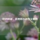 好问则裕，自用则小的含义解析
