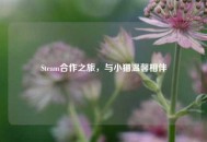 Steam合作之旅，与小猫温馨相伴