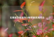 无独显也能提升CF帧率的实用 *** 