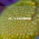 8月，CF卡的闪耀时刻