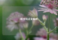 报字写法全解析