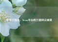 中华三国志，Steam平台的三国风云盛宴