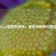 Steam暗黑风游戏，黑暗中的奇幻冒险