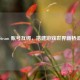 Steam 账号互绑，搭建游戏世界新桥梁