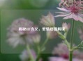 揭秘811含义，爱情层面解读