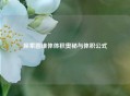 探索圆锥体体积奥秘与体积公式