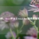 Days游戏，Steam平台上School Days游戏的独特魅力