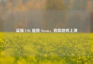 盗版 CSG 链接 Steam，危险游戏上演