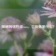 探秘 *** 热词emo，它究竟是什么？