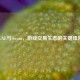 IGXE与Steam，游戏交易生态的关键纽带