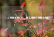 Steam西部枪械游戏，重温狂野西部热血激情