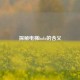 探秘电梯holo的含义