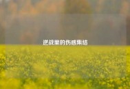 逆战里的伤感集结