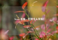 Steam  *** ，烂到令人发指！