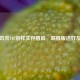 Steam饥荒102别样生存冒险，联机版送好友 *** 