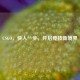 CSGO，快人一步，开启竞技新境界