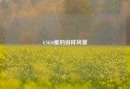 CSGO里的别样风景