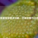CSGO 数据库移植全攻略，详细步骤与注意事项