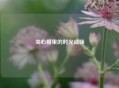 夹心糖里的时光滋味