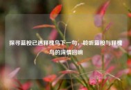 探寻蓝桉已遇释槐鸟下一句，聆听蓝桉与释槐鸟的深情回响