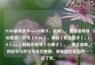 PUBG职业选手ryan小狮子，说明，，直接提炼核心信息，游戏（PUBG）、身份（职业选手）、ID（ryan）和特色绰号（小狮子）。，格式清晰，将括号与双引号结合使用，使标题信息结构一目了然。