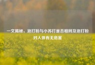 一文揭秘，泡打粉与小苏打是否相同及泡打粉对人体有无危害
