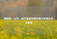 两随机一公开，提升监管效能的有力举措及含义解读