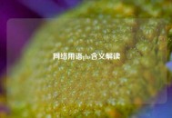  *** 用语ghs含义解读