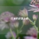 江辰的逆袭之路