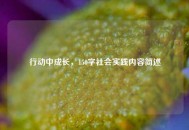 行动中成长，150字社会实践内容简述