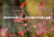 塑料积木拼图大全，开启创意与欢乐魔法世界