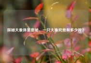 探秘大象体重奥秘，一只大象究竟有多少吨？
