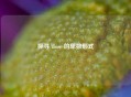 探寻 those 的单数形式